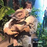 熊猫基地的侏罗纪恐龙乐园