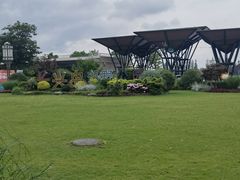 -上海长兴岛郊野公园