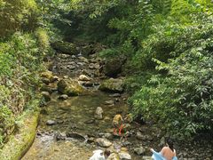 -神龙峡风景区