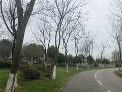-尚贤河湿地