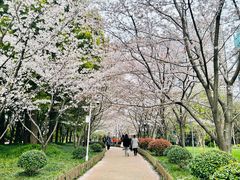-陆家嘴中心绿地