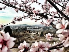 -白水寺森林公园