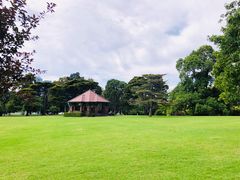 -墨尔本皇家植物园