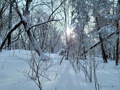 -雪谷