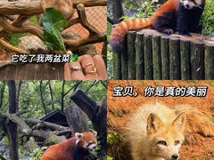 -云南野生动物园