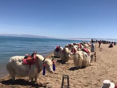 -青海湖国家重点风景名胜区