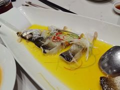 -品大三·南京菜(大行宫店)