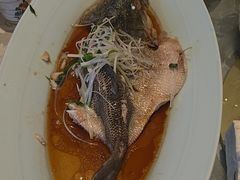 -丽华园(青少年宫店)