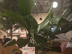 -Wagas沃歌斯(环贸店)