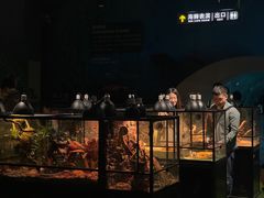 -石家庄海洋公园