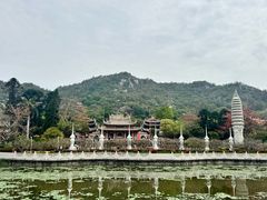 -南普陀素菜馆