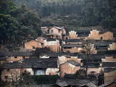 -杨家堂村