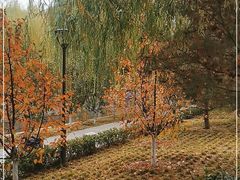 -元大都城垣遗址公园