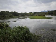 -西溪国家湿地公园
