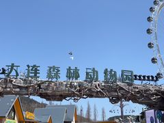 -大连森林动物园