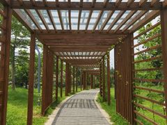 -福田红树林生态公园