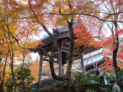 -常寂光寺