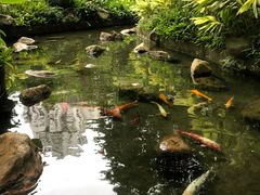 -广州花园酒店