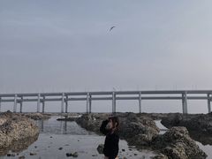 -黑石礁公园