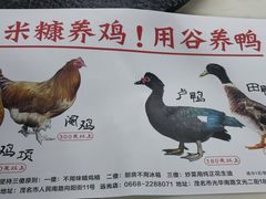 -阿水土鸡(远光店)