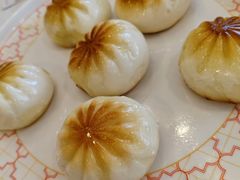 -五谷芳乳鸽王(梅沙老店)