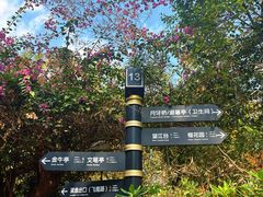 -福道