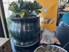 -野菌皇海景野生菌火锅(滨海大道店)