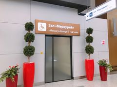 -谢列梅捷沃国际机场