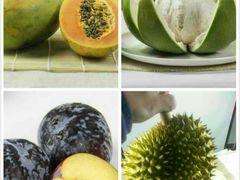 水果-广州白云机场雅高铂尔曼大酒店