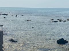 -三亚西岛海洋文化旅游区