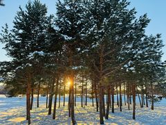 -北极村旅游风景区
