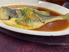 清蒸鱼-颐泽园酒店