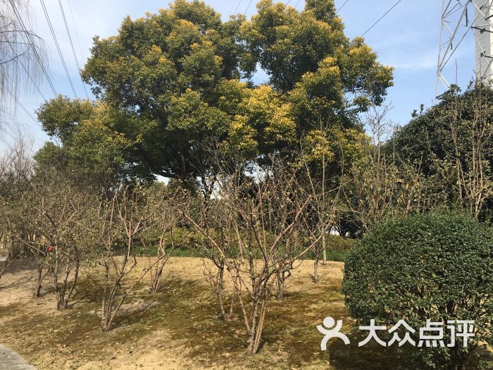 漕河涇開發區公園圖片 - 第160張