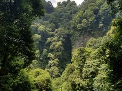 -青城山