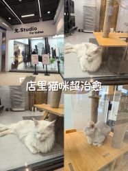 点击看大图 -熙.Hair 丨专注女子中长发丨