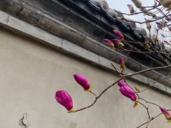 -春风习习