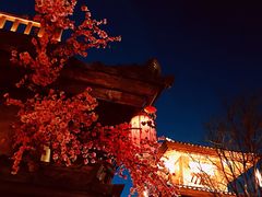 -诗经里