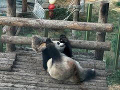 -大连森林动物园