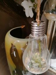 点击看大图 -雅曼妮spa美容养生