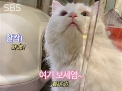 -小时光咖啡馆(开森度假森林店)