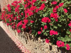 -丽江束河古镇-石莲古寺