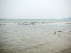 -海滨浴场
