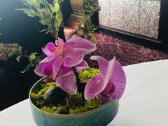 -金轩中餐厅 Jin Xuan(浦东丽思卡尔顿酒店)
