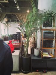 -M+hair salon专业造型沙龙