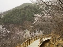 -北京十三陵国家森林公园蟒山景区