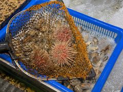 -海味当家·蒸锅海鲜(星海公园店)