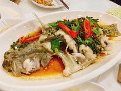 -寻味顺德·南记酒家·传统顺德菜·鱼生(广源路店)