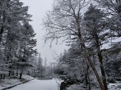 -硗碛藏寨·神木垒景区