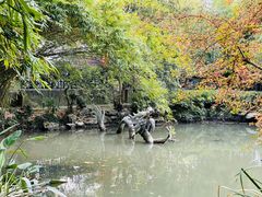 -汇龙潭