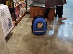 -PETKIT小佩宠物·低压洗护(国顺东路店)